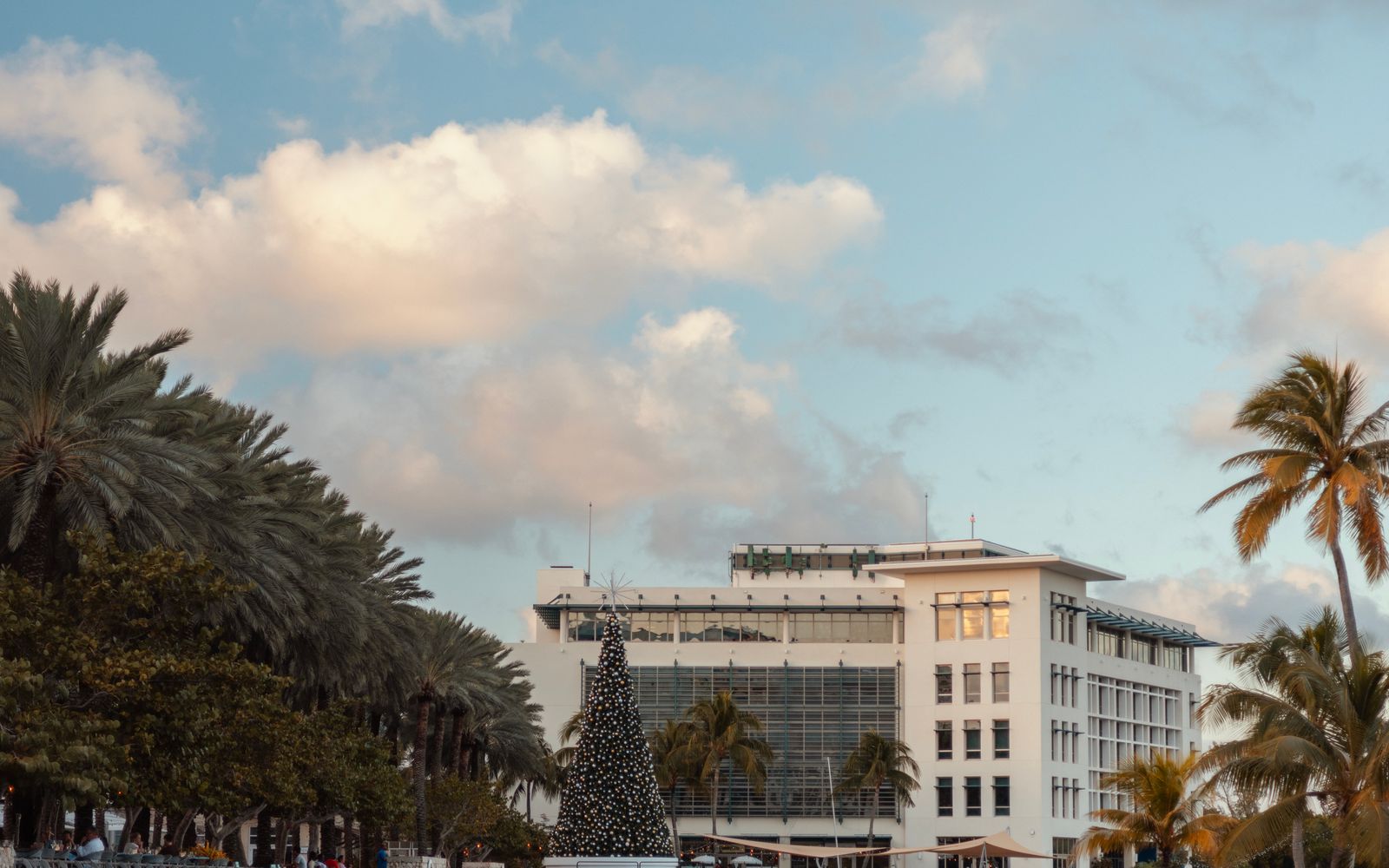 Modern waterfront building framed by palm trees, Cayman Islands