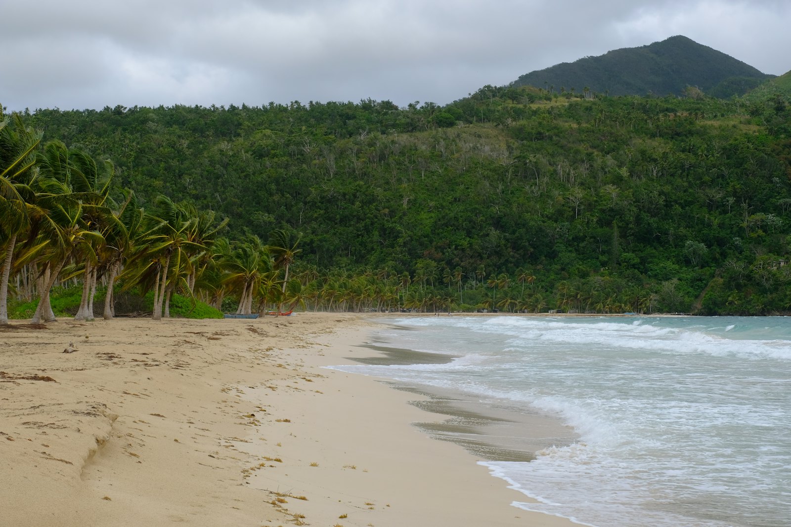 Playa Rincon beach on the Samana Peninsula, Dominican Republic