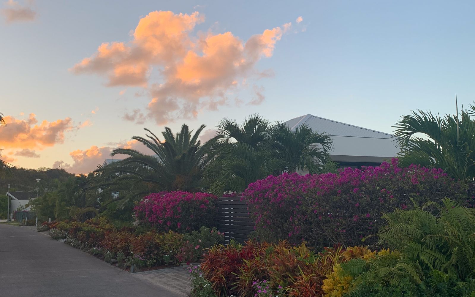Tropical garden around a home in Jolly Harbour, on Antigua's west coast