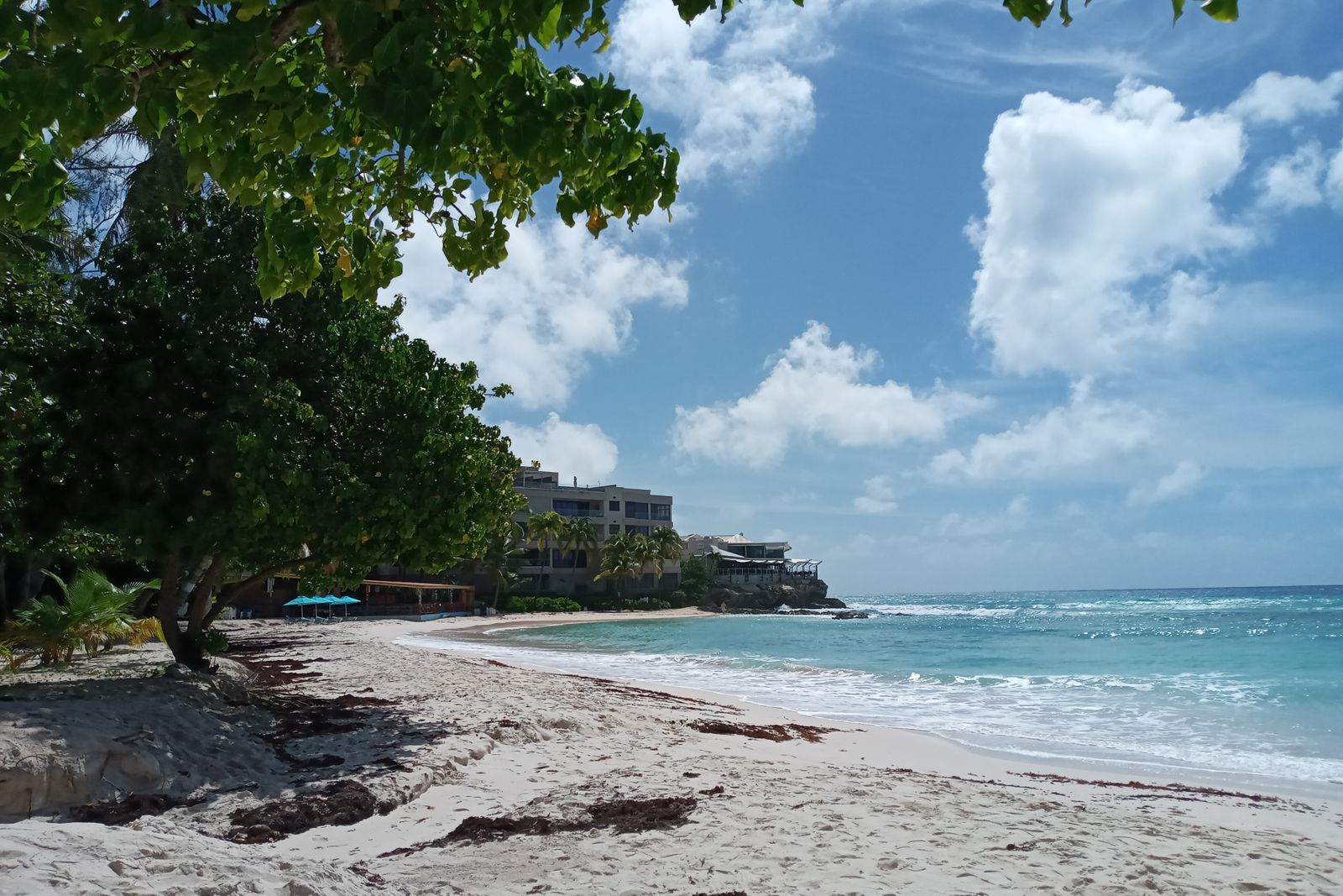 Beach and seafront buildings near Bridgetown, Barbados
