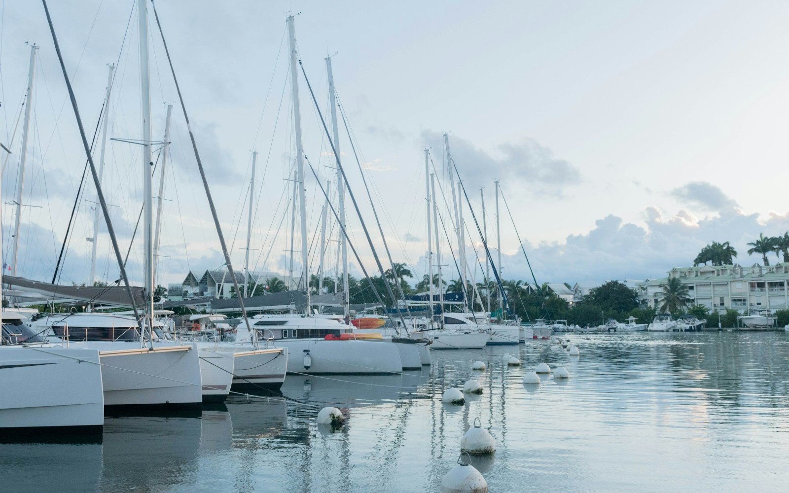 Living in Guadeloupe Beyond 90 Days: The Visitor Visa and the Route to French Citizenship